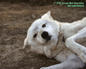 Посмотреть