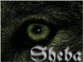 SheBа